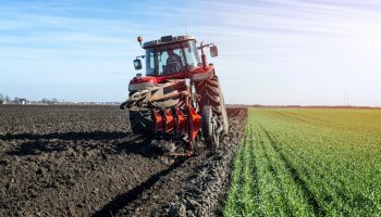 Tractor agricultural machine cultivating field.